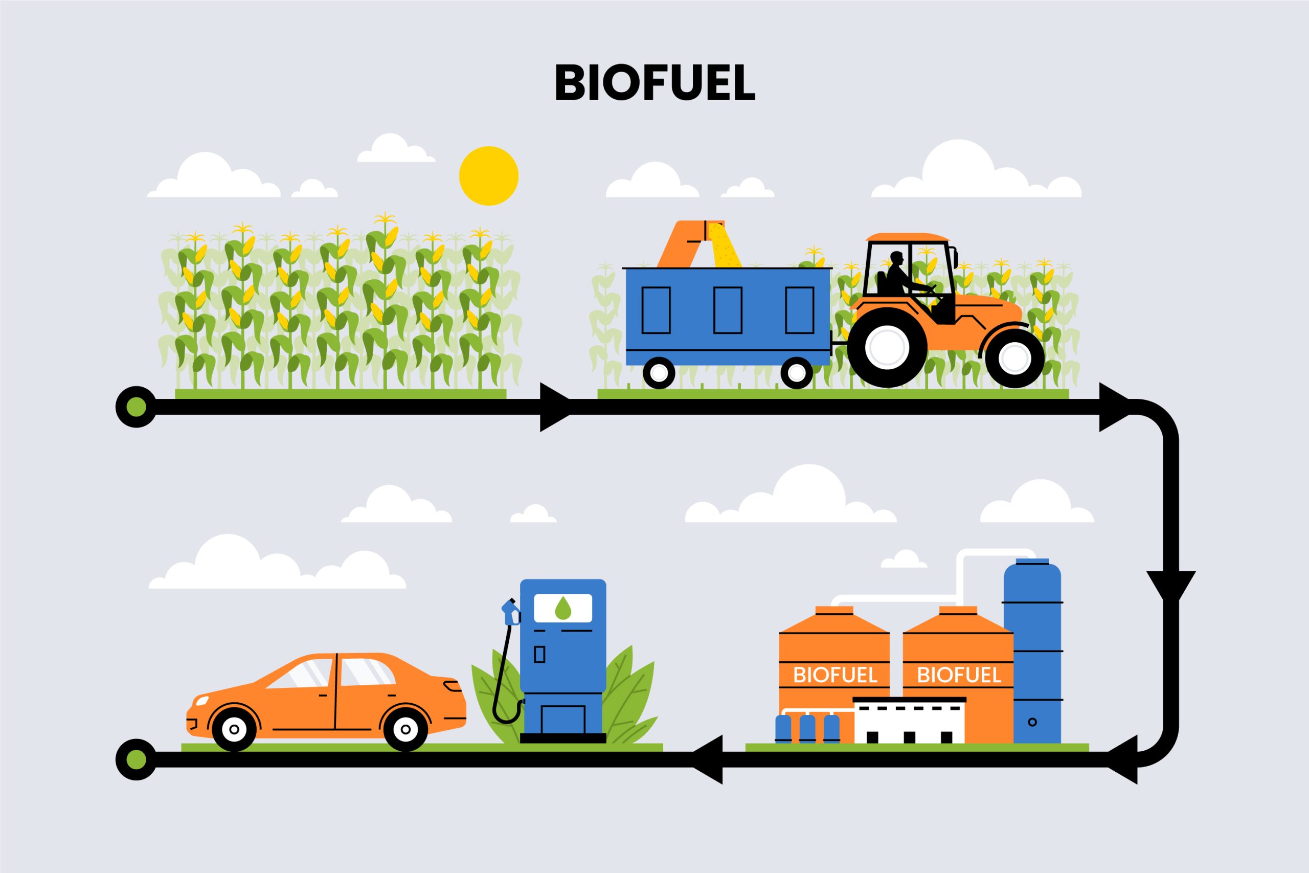 The Rise of Biofuels: Understanding the Basics